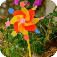 花ぬかじまやー